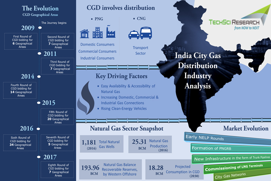 India City Gas Distribution Market